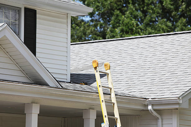 Professional Siding Installation & Repair in Lakeside, VA